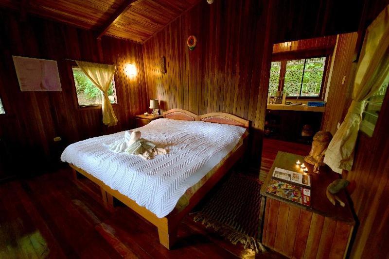Lodge Mirador - Great Swimming Pool - Kitchen - Bbq - Netflix Tajo Alto Екстер'єр фото