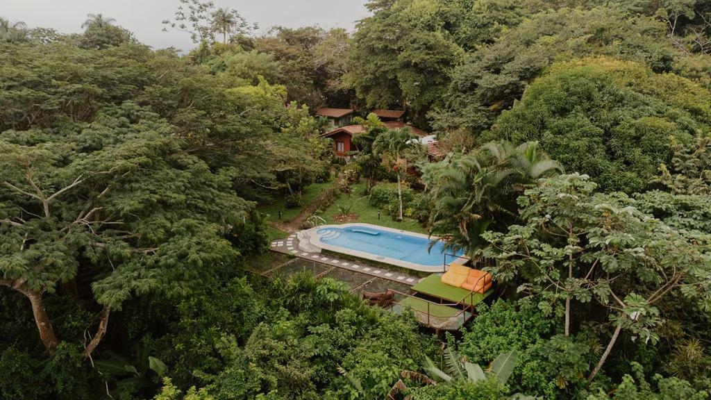 Lodge Mirador - Great Swimming Pool - Kitchen - Bbq - Netflix Tajo Alto Екстер'єр фото