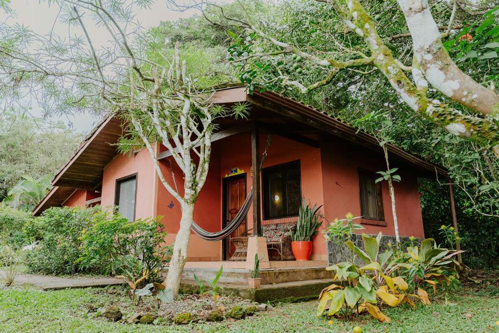 Lodge Mirador - Great Swimming Pool - Kitchen - Bbq - Netflix Tajo Alto Екстер'єр фото
