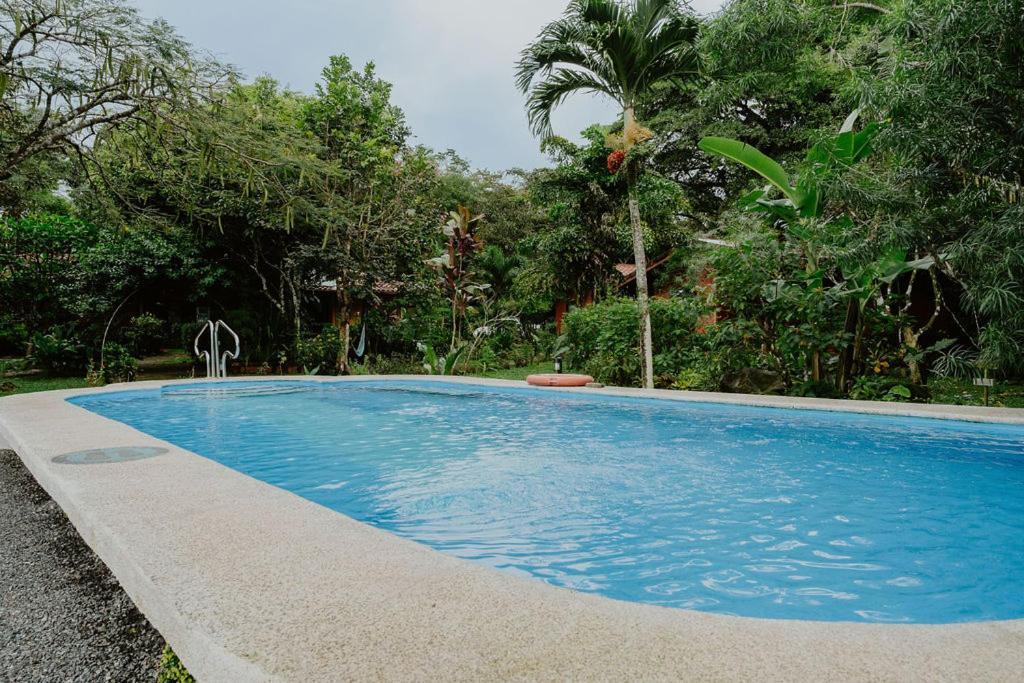Lodge Mirador - Great Swimming Pool - Kitchen - Bbq - Netflix Tajo Alto Екстер'єр фото