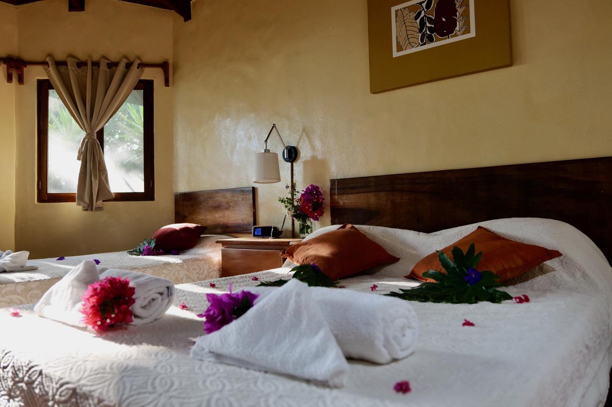 Lodge Mirador - Great Swimming Pool - Kitchen - Bbq - Netflix Tajo Alto Екстер'єр фото